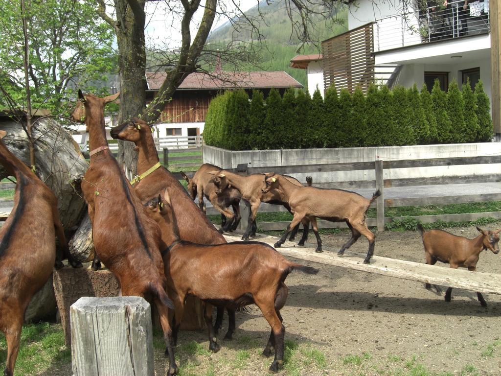 Bauernhof Kuen Villa Längenfeld Kültér fotó